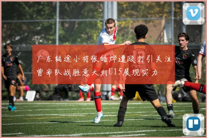 广东铭途小将张皓烨遭殴打引关注曾率队战胜意大利U15展现实力