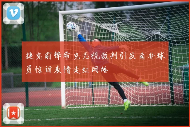 捷克前锋希克无视裁判引发南非球员惊讶表情走红网络